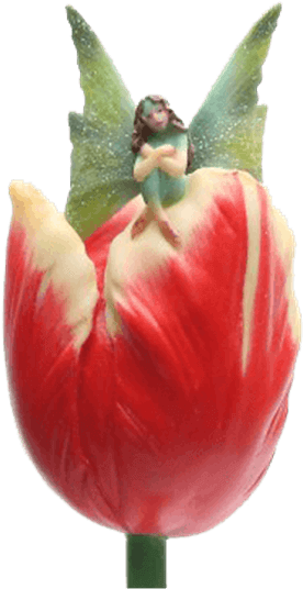 Price Match Policy - Tulip Clipart (555x555), Png Download