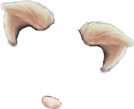 #fofa #urso #png - Snapchat Filter Cat Ears Clipart (535x435), Png Download
