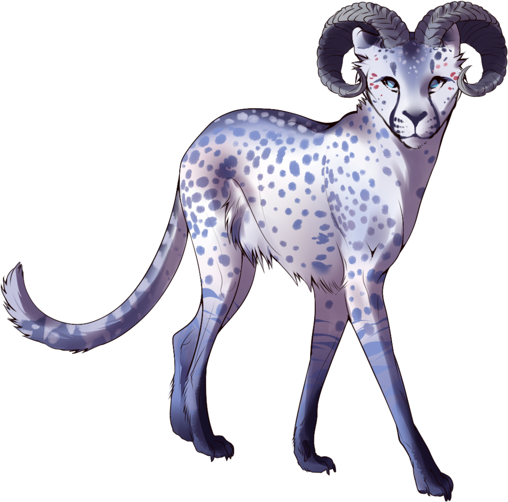 Photobucket Clipart (1024x1006), Png Download