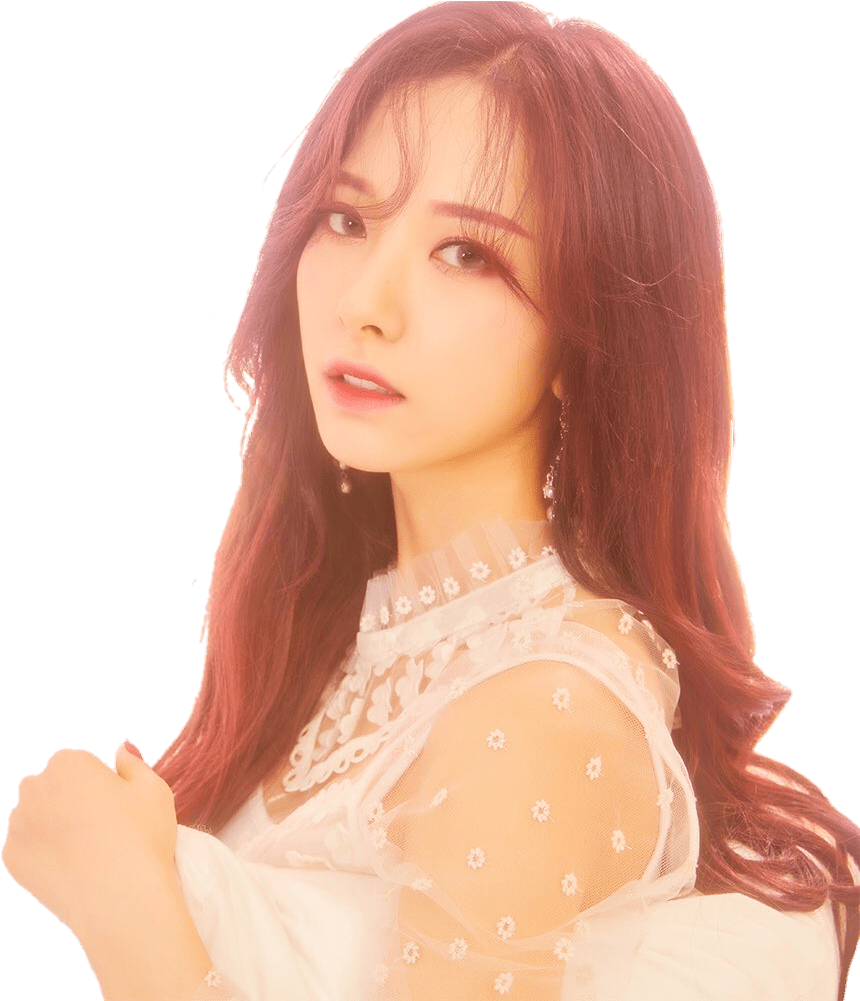 Bona Clipart (957x1000), Png Download