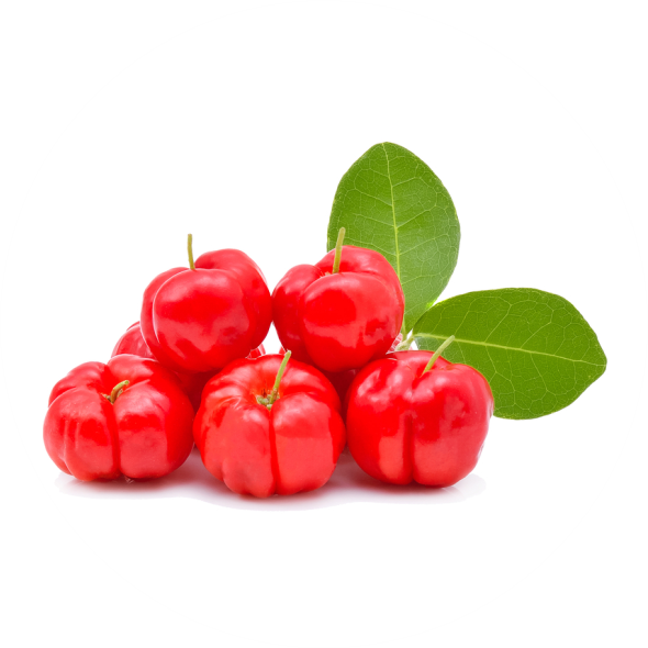 Acerola - Frutas - Acerola Fruit Clipart (590x590), Png Download
