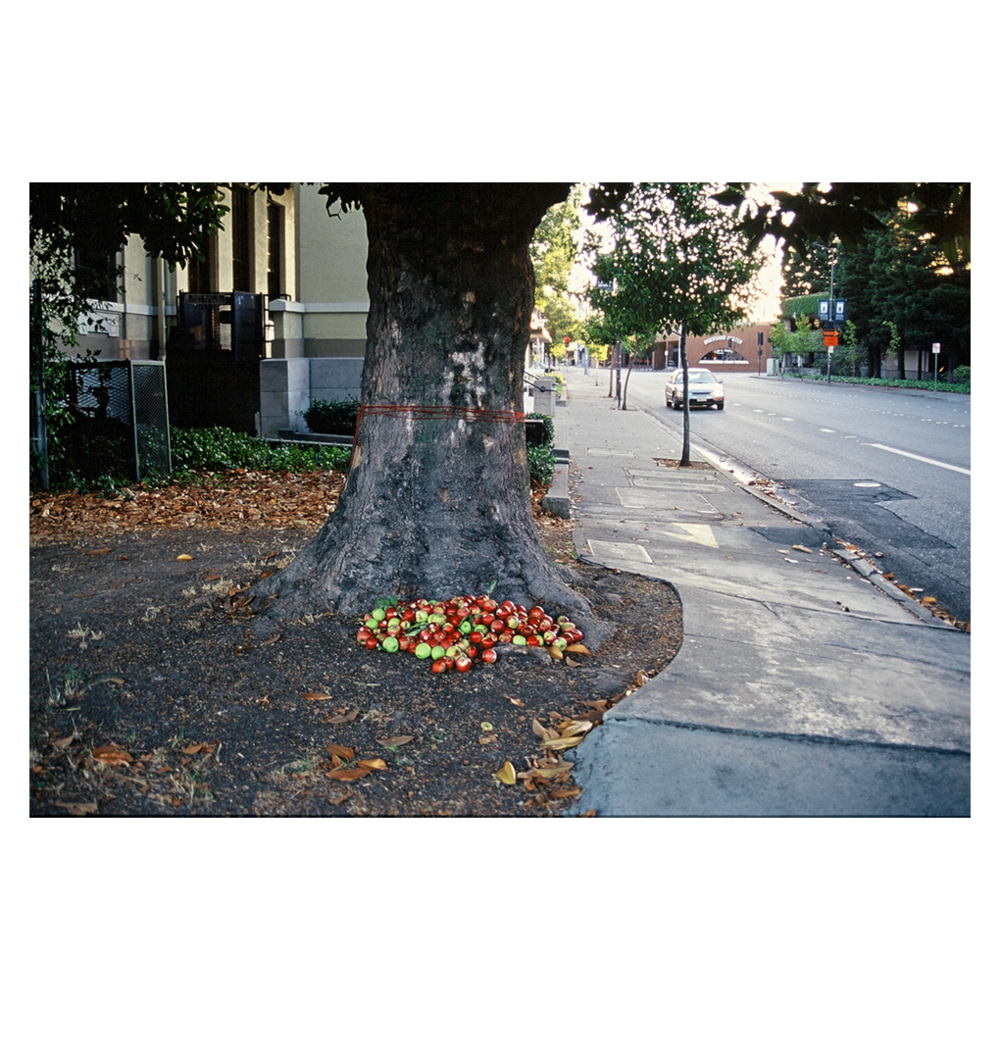 Apples - Maidenhair Tree Clipart (1000x1059), Png Download