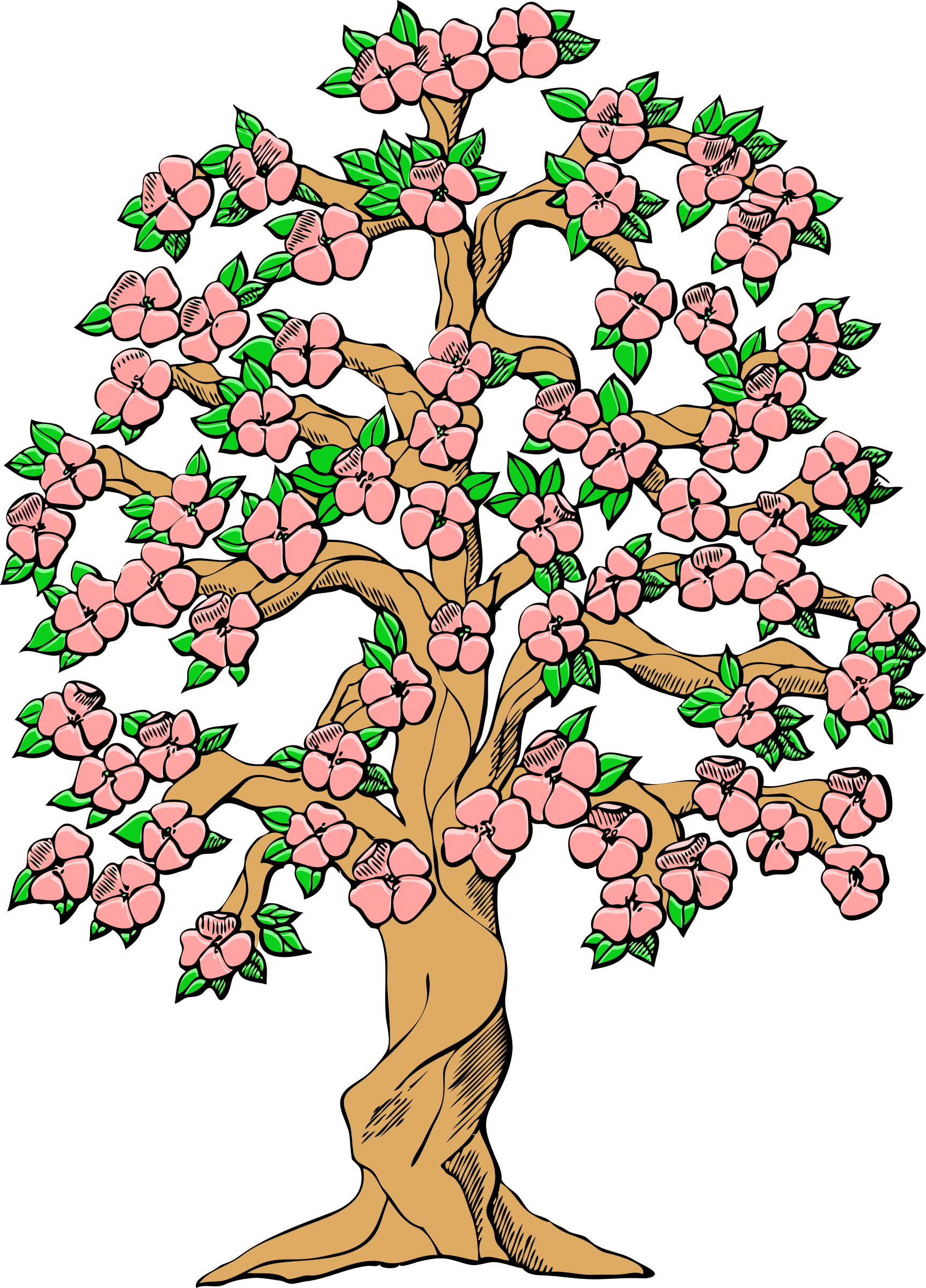 Colors Clipart Tree - Tree Clip Art - Png Download (1726x2400), Png Download