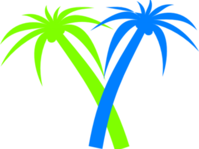 Hd Palm Tree Clipart Png Transparent Png (640x480), Png Download