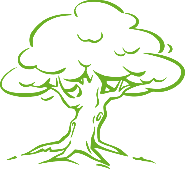 Mental Health - Simple Oak Tree Drawing Clipart (788x720), Png Download