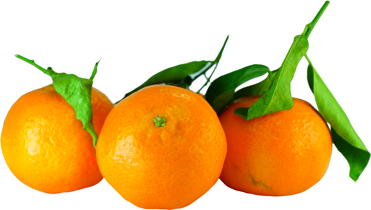 All Posts Tagged In - Tangerines Png Clipart (1223x699), Png Download