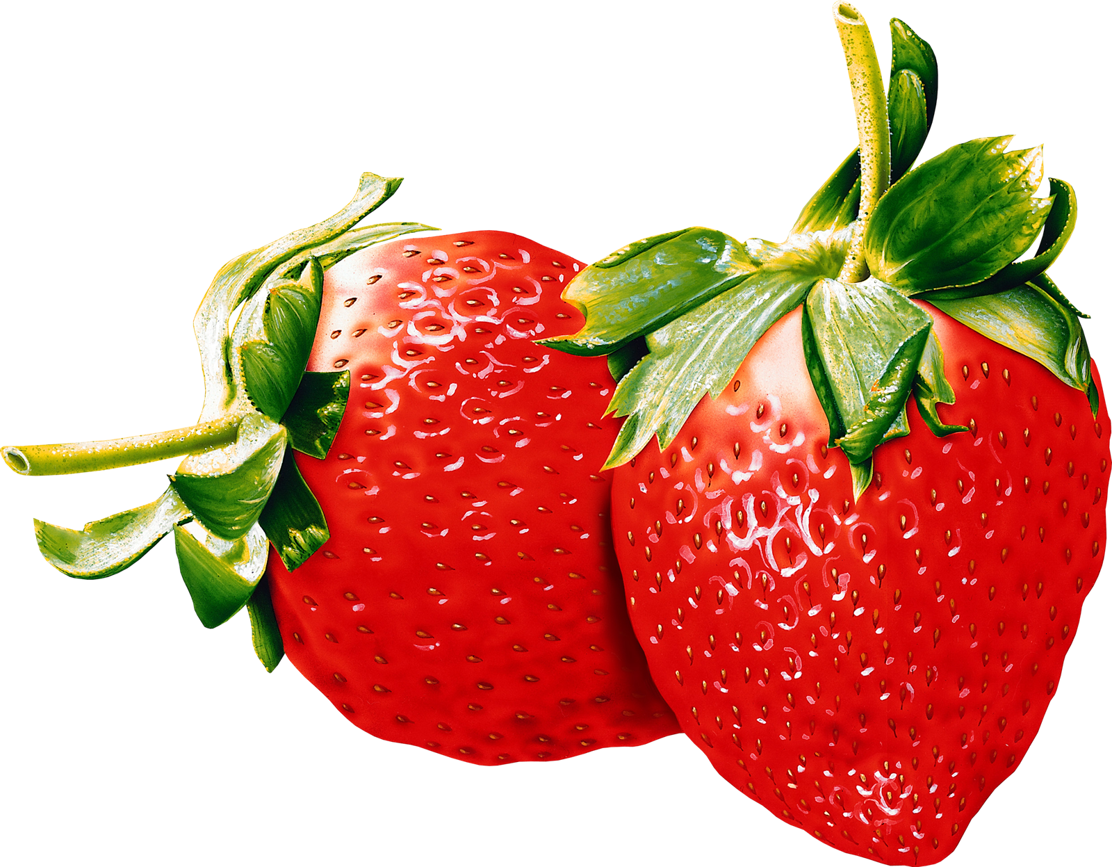 Strawberry Clipart (1600x1247), Png Download