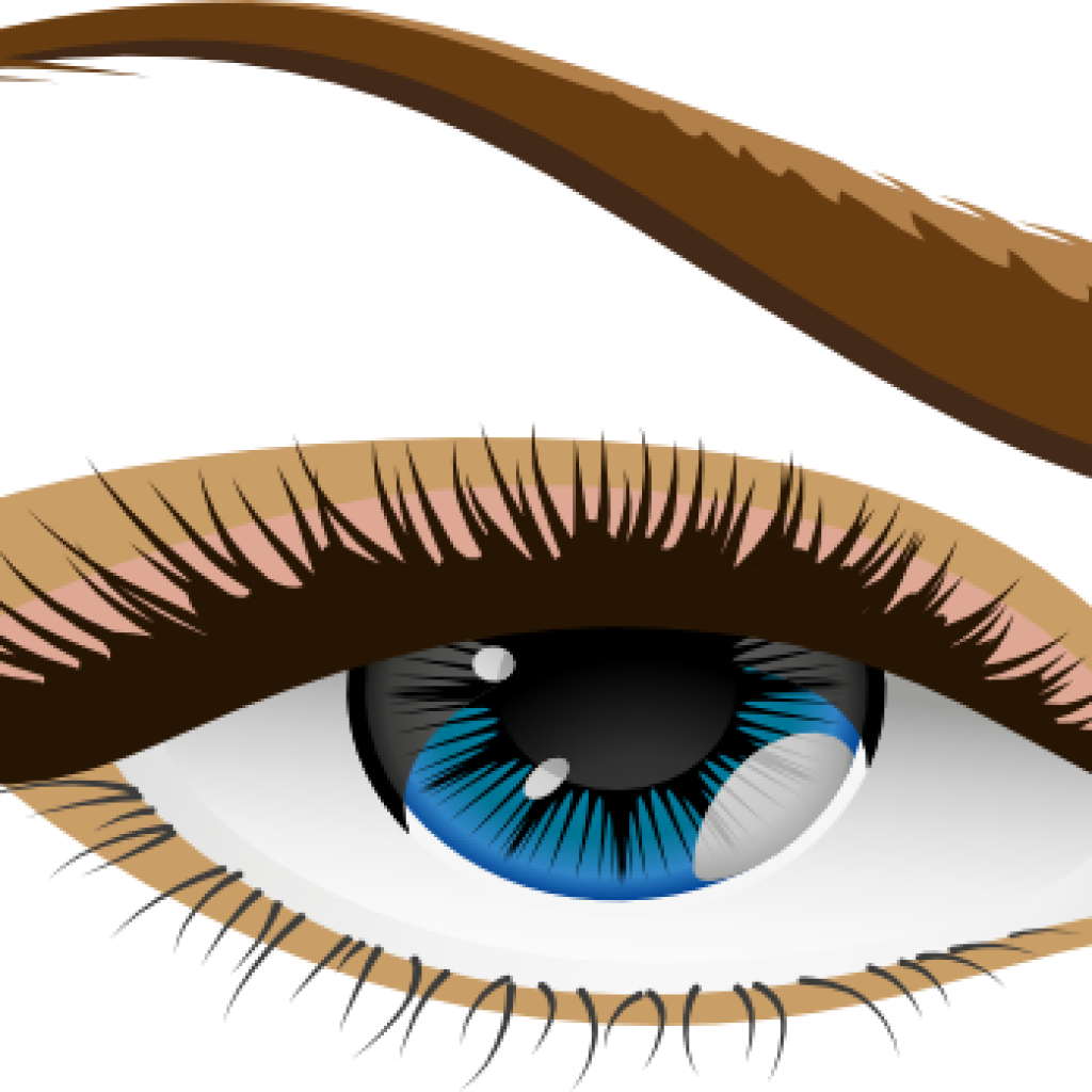 Human Eye Clip Art Free Clipart Download Rh Thelockinmovie - Eyebrow - Png Download (1024x1024), Png Download