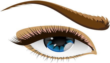 Download Vector - Eye Clip Art - Png Download (565x800), Png Download