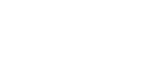 Aporia Customs Aporiacustoms - Poster Clipart (1250x279), Png Download