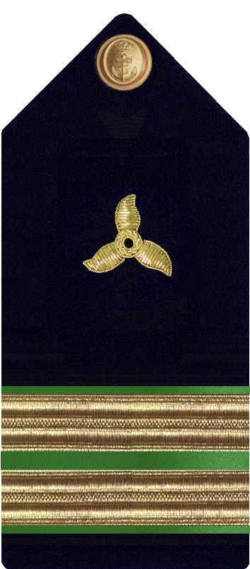 Pala De Capitán De Máquinas De La Armada - Dragonfly Clipart (384x878), Png Download