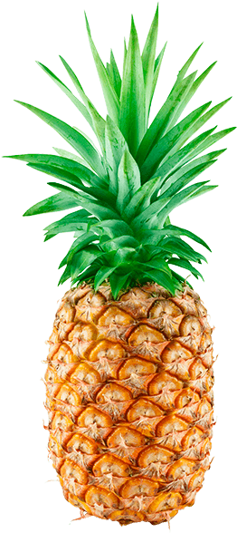 Png Abacaxi - Ananas Comosus Clipart (600x600), Png Download