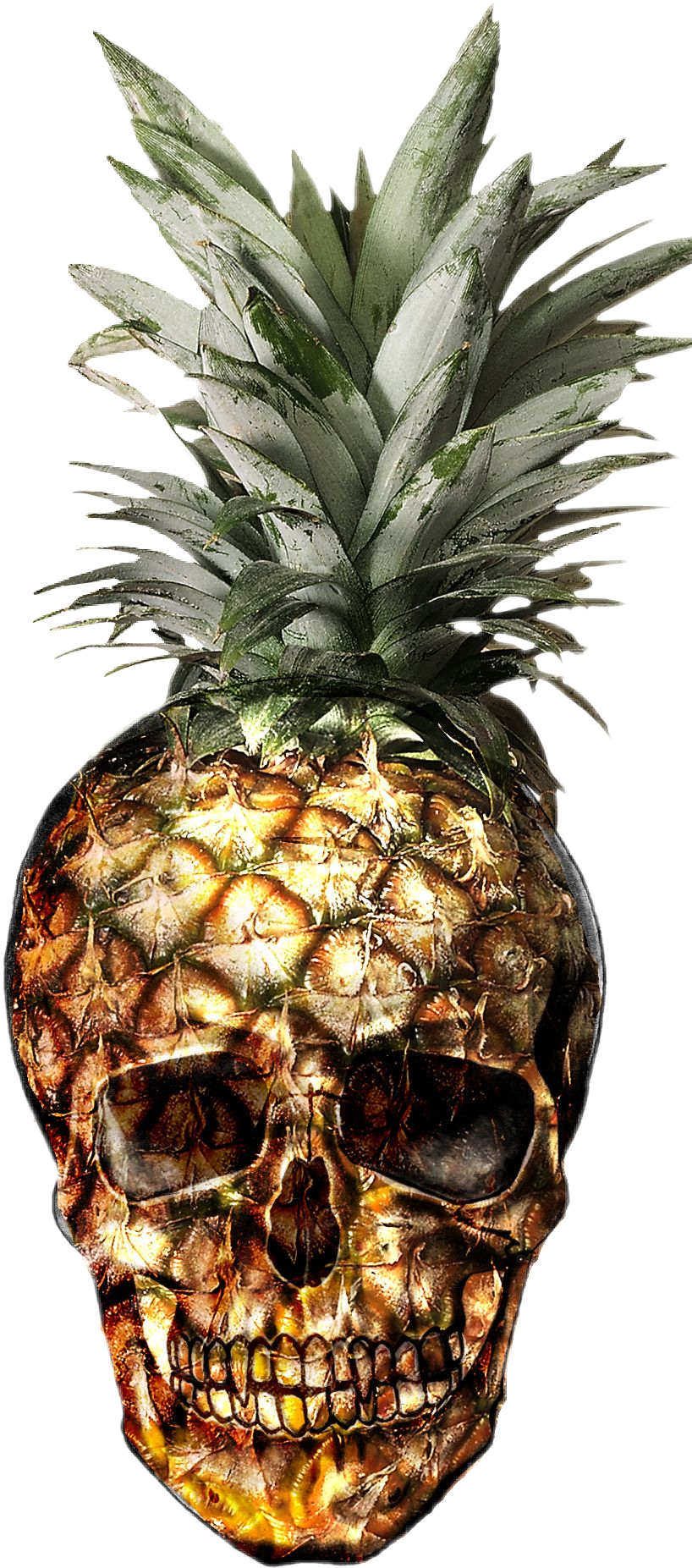 Abacaxi Sticker - Abacaxi Caveira Clipart (818x1853), Png Download