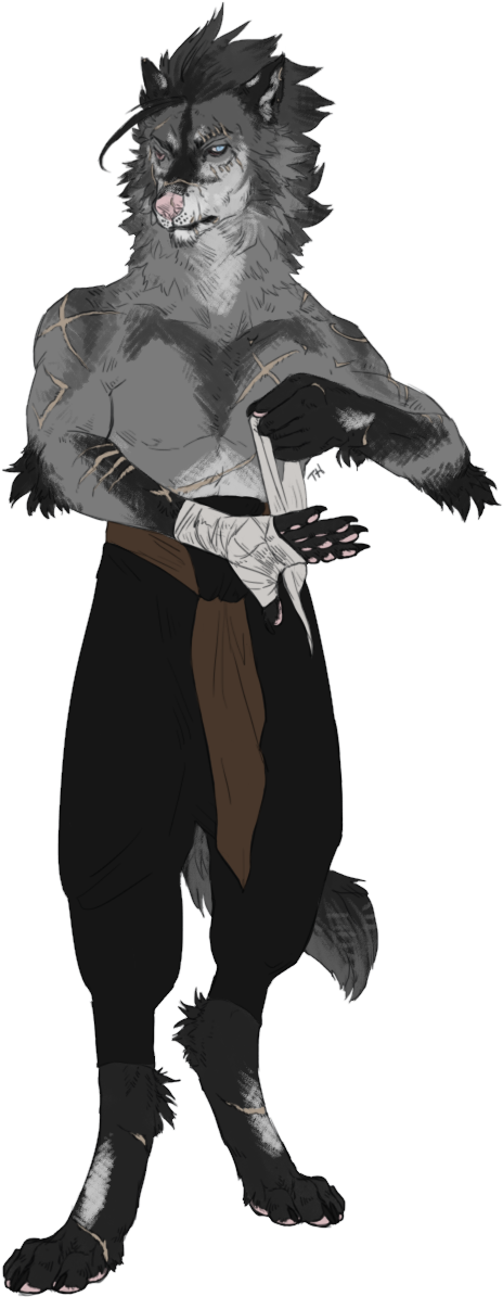 Complete Gallery & Image Credits - Illustration Clipart (503x1221), Png Download