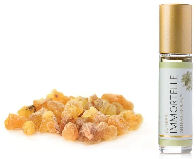 Description - Frankincense Clipart (1008x1041), Png Download