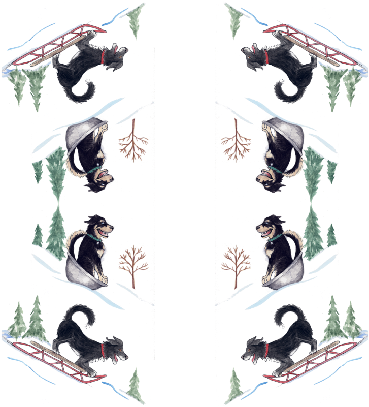 Illustration Clipart (800x800), Png Download