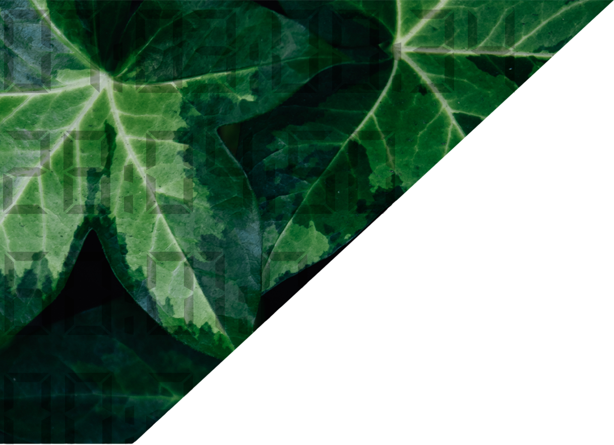 Close-up Clipart (1218x882), Png Download