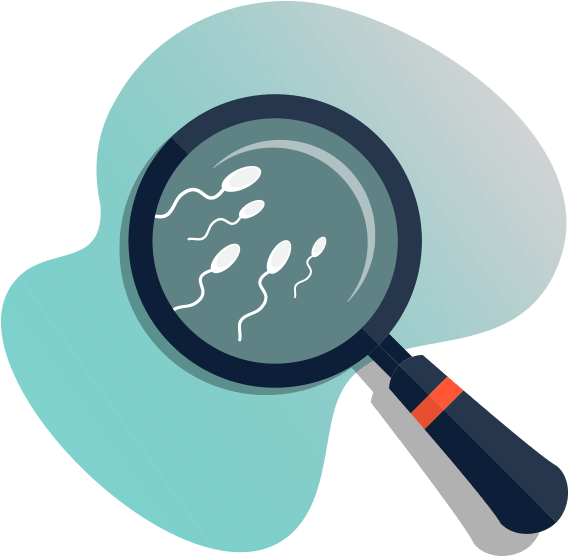 Semen Analysis - Seaman Annalysis Clipart (576x562), Png Download