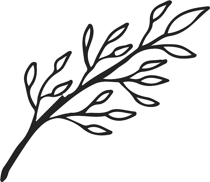 Clipart Royalty Free Library Branch Transparent Outline - Leaf Branch Outline Png (800x800), Png Download