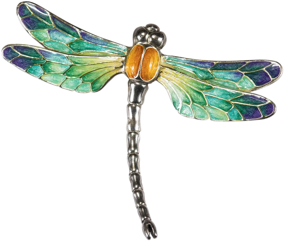 Dragonfly Png Clipart (971x971), Png Download