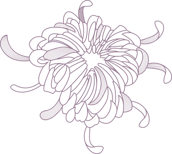 Flower Outline - Sunflower Clipart (591x530), Png Download