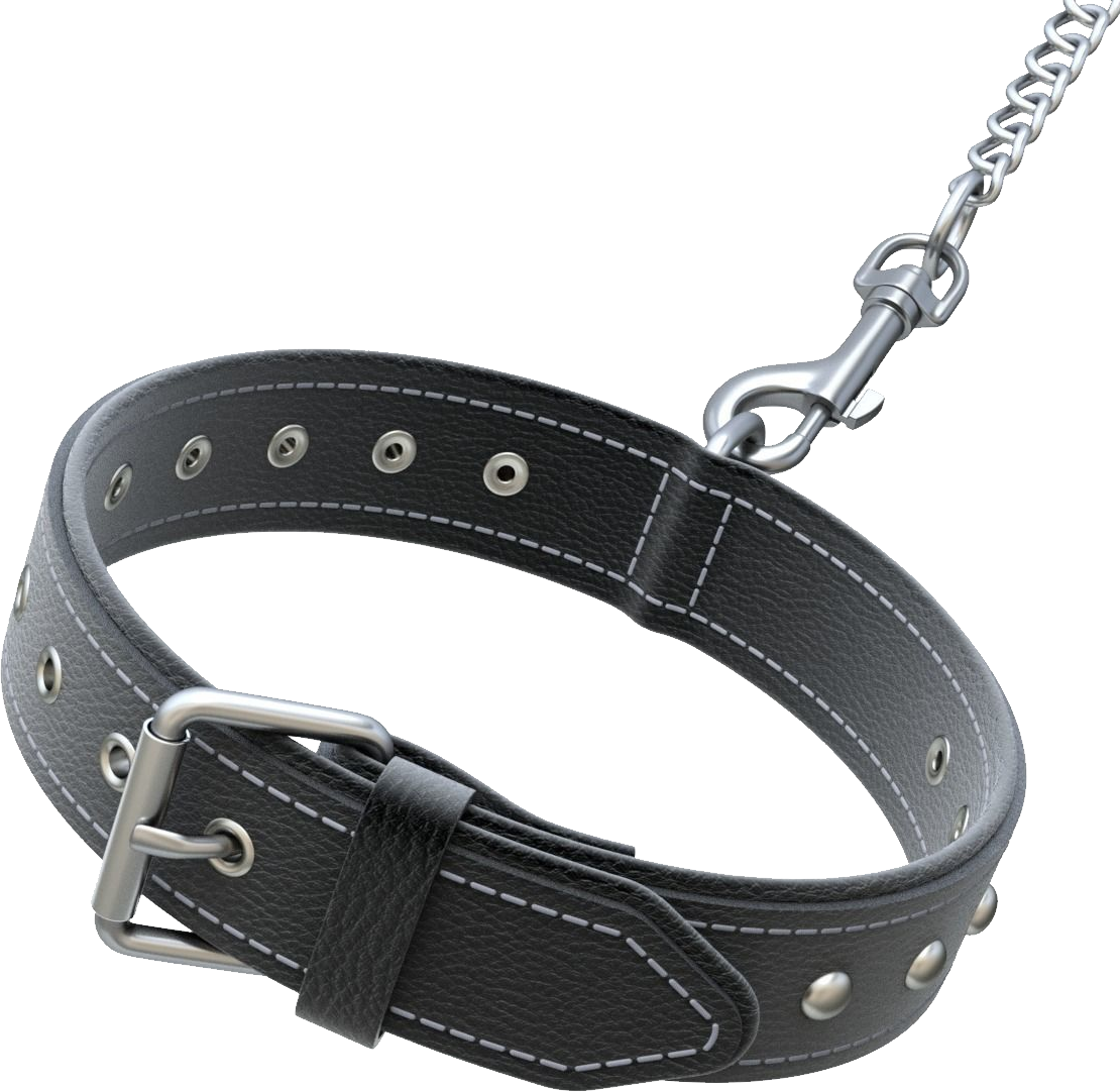 Dog Collar Png - Dog Belt Png Hd Clipart (1110x1082), Png Download