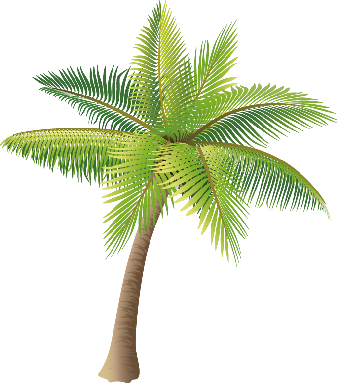 Download Material Coconut Vector Tree Icon Hd Image Free Png - Palm