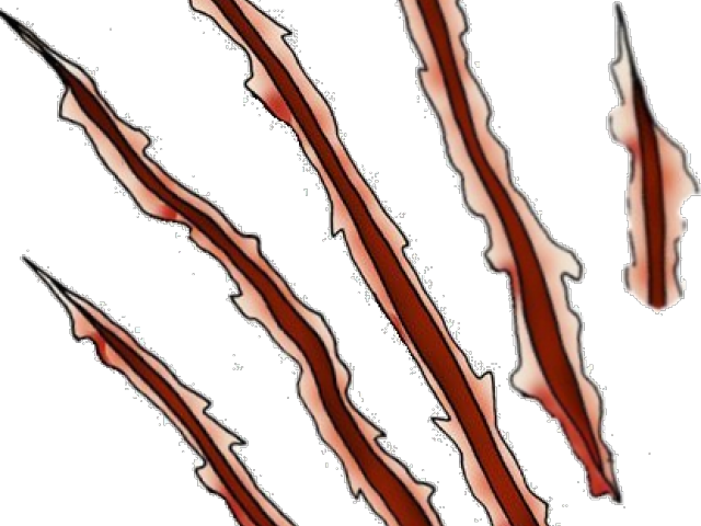 Claw Marks Design Clipart (640x480), Png Download