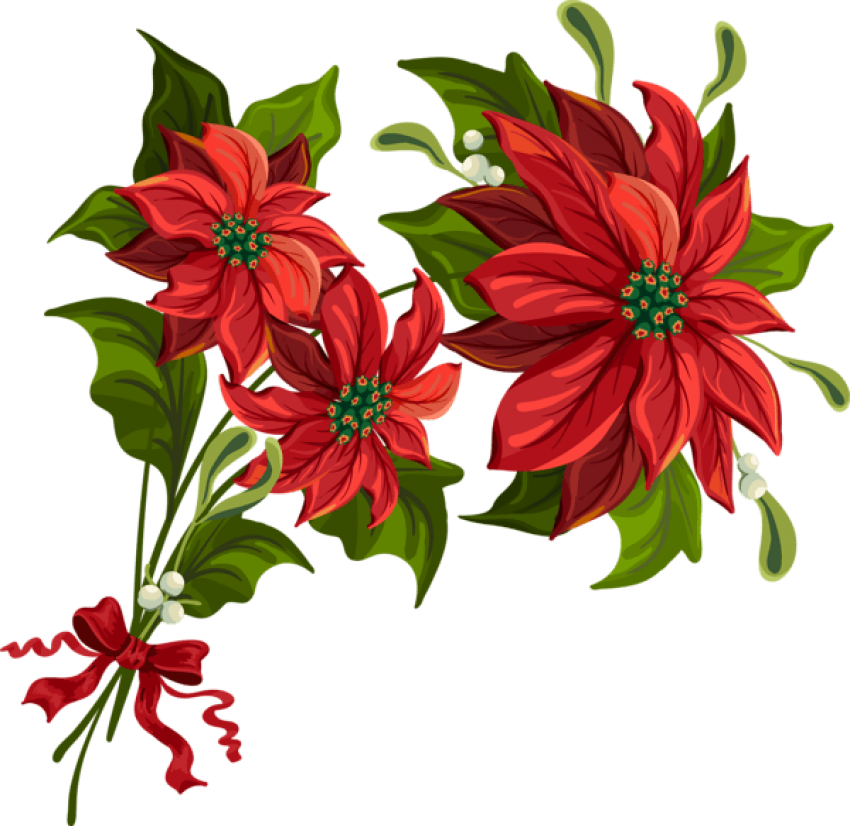 Free Png Transparent Christmas Png Poinsettia Png - Christmas Flowers Transparent Background Clipart (850x826), Png Download