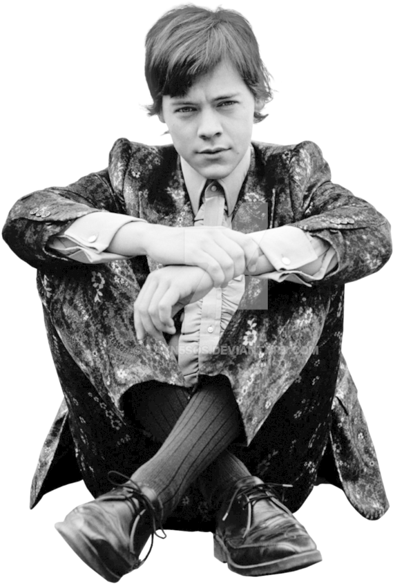 Harry Styles Png 2017 Clipart (799x1000), Png Download