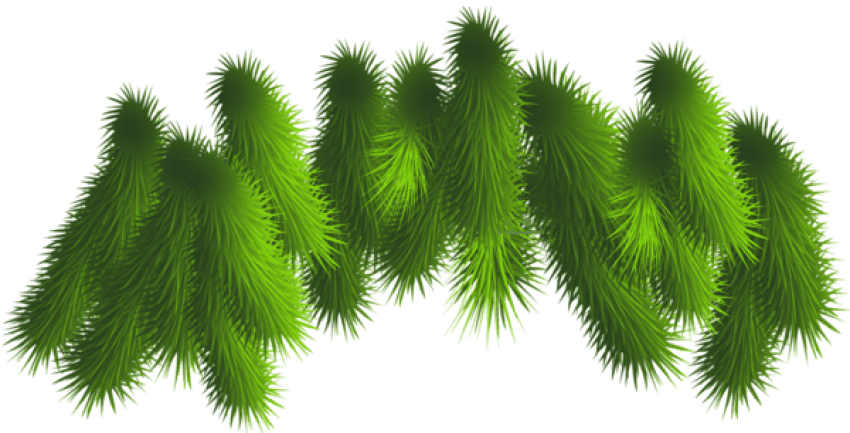 Free Png Transparent Pine Branches Png - Christmas Tree Branches Png Clipart (850x433), Png Download
