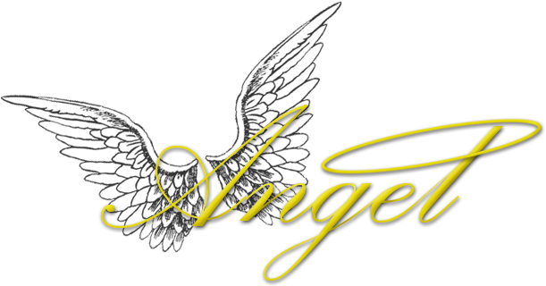 Angel 4r God's Music - Angel Music Logo Clipart (960x344), Png Download