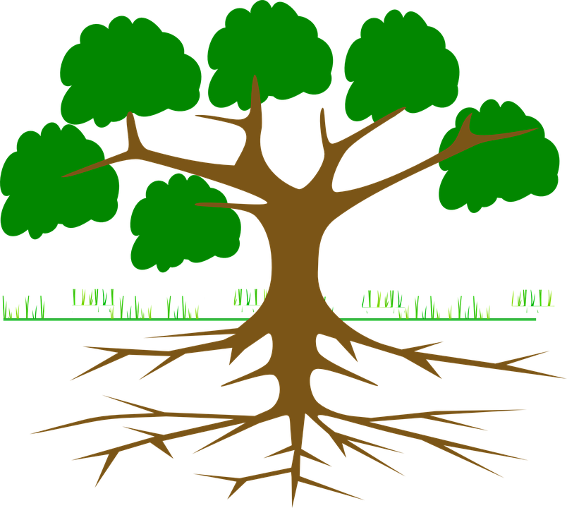 Free Plant Roots Png - Arbol De Problemas Para Llenar Clipart (804x720), Png Download