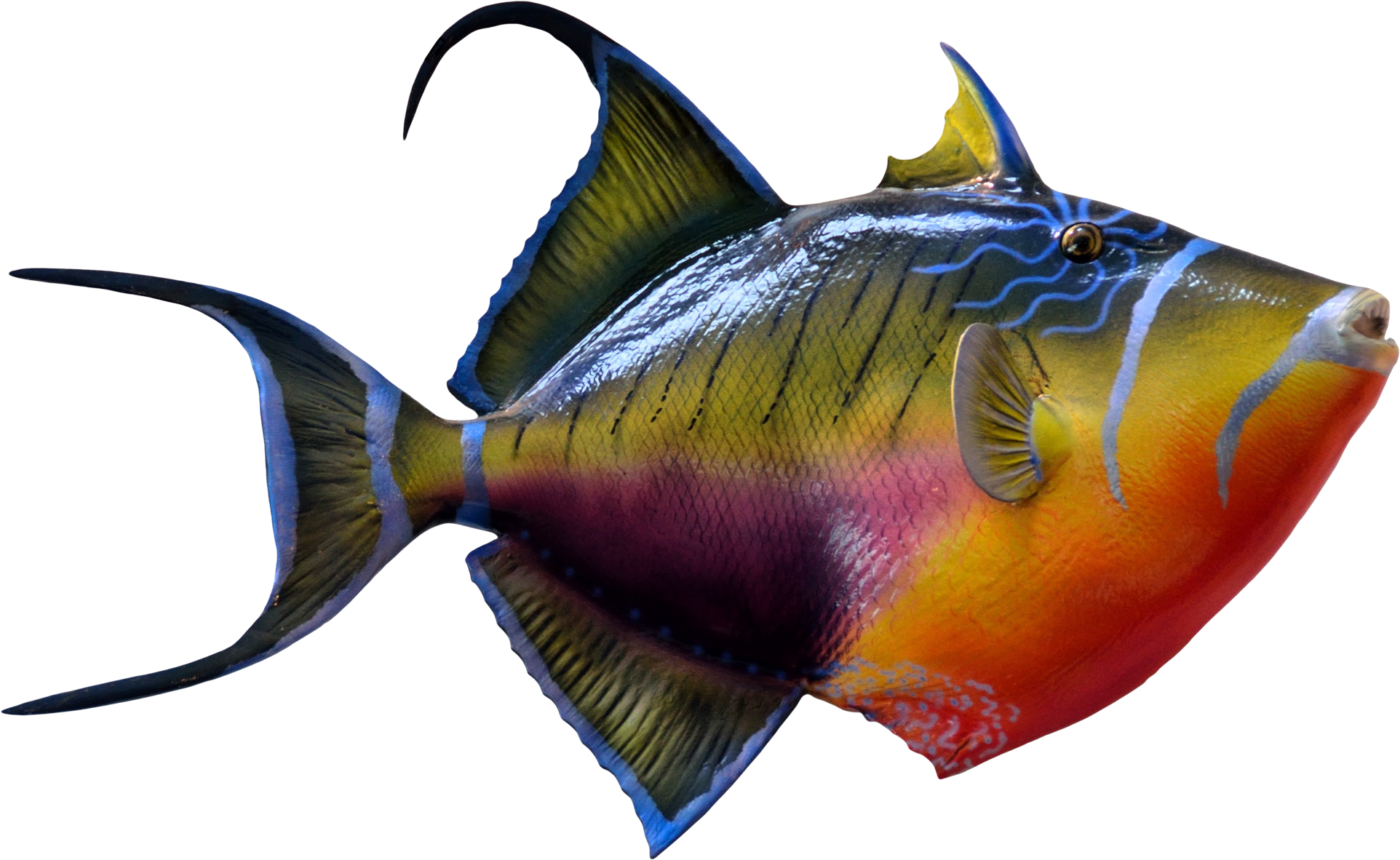 Png Fish Clipart (2121x1452), Png Download