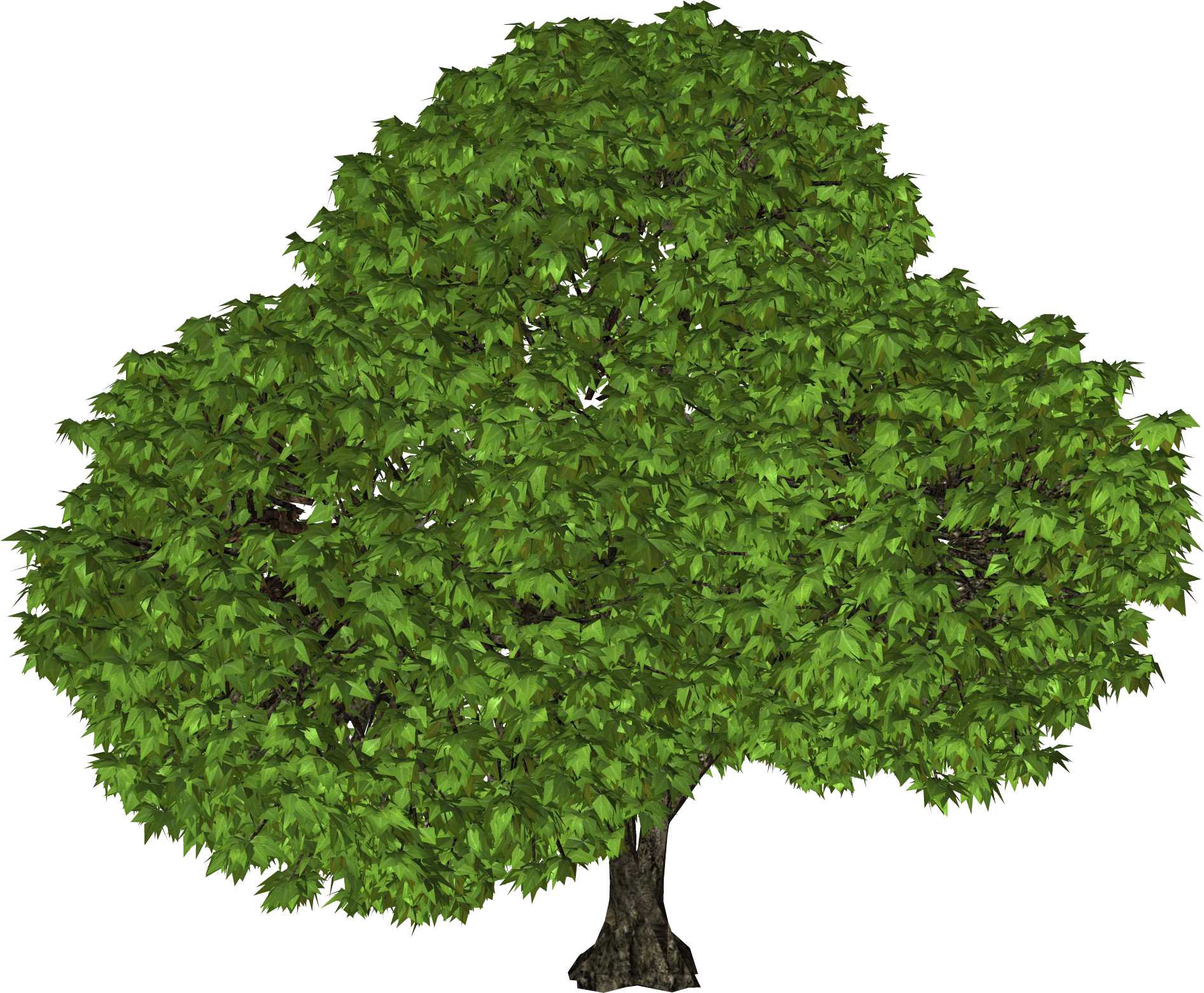 Walnut Tree Png Clipart (1892x1561), Png Download