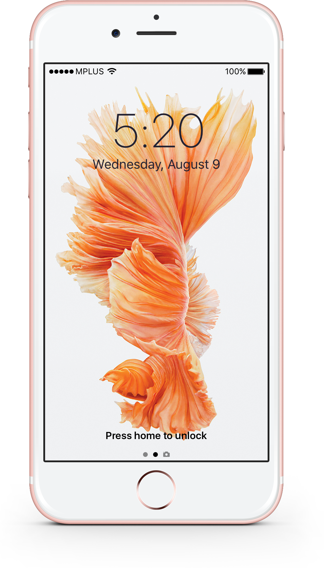 Iphone 6s Lcd Replacement Iphone Plus Battery Replacement - Iphone 7 Hd Original Wallpaper Fish Clipart (1189x2169), Png Download