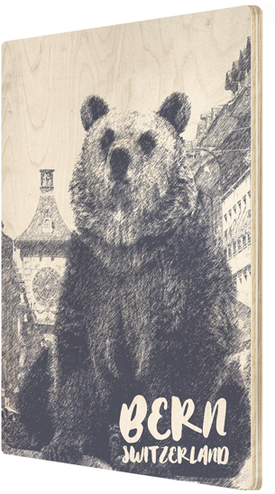 Kodiak Bear Clipart (500x635), Png Download