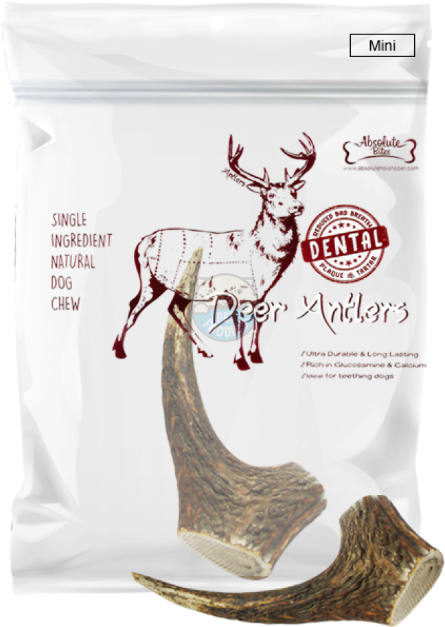 Uploads/3hpdy5tdvbct - Deer Clipart (600x800), Png Download