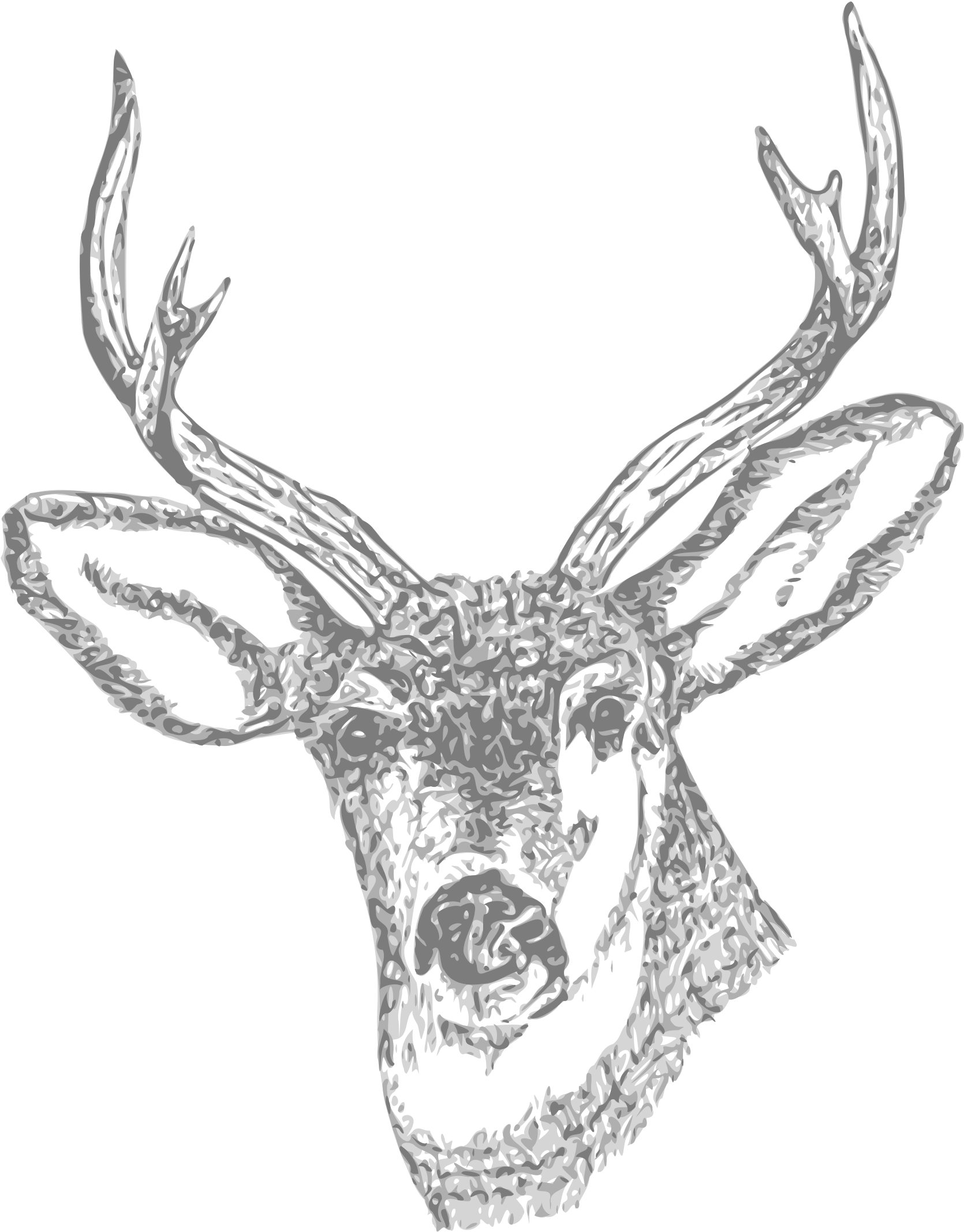 Deer Pencil Curtain Free - Deer Skull Tattoo Design Clipart (926x750), Png Download