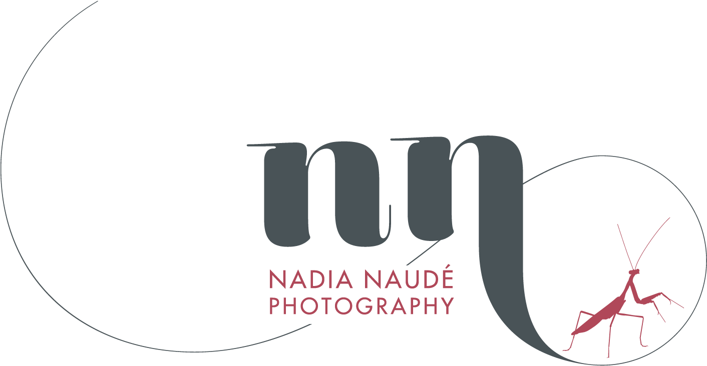 Nadia Naudé Photography - Nn Photography Logo Png Clipart (1519x815), Png Download