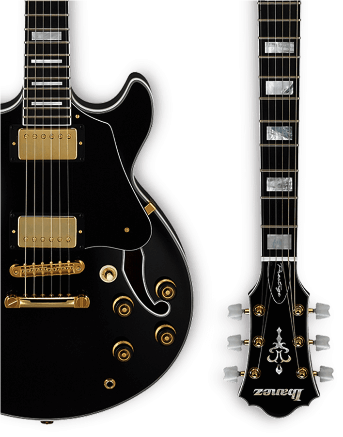 View More - Gibson Sg Ebony Clipart (800x900), Png Download