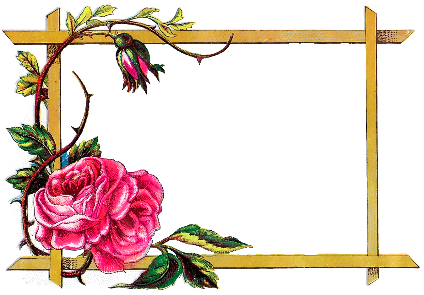 Digital Clipart Craft Rose Border Download - Border Designs Of Flowers - Png Download (1350x940), Png Download