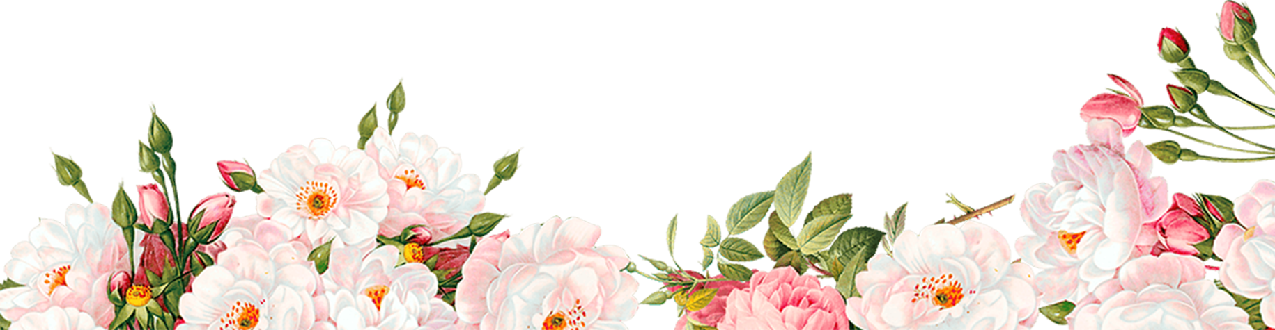 Watercolour Flower Border Png Image Free Searchpng - Free Flower Border Png Clipart (1830x475), Png Download