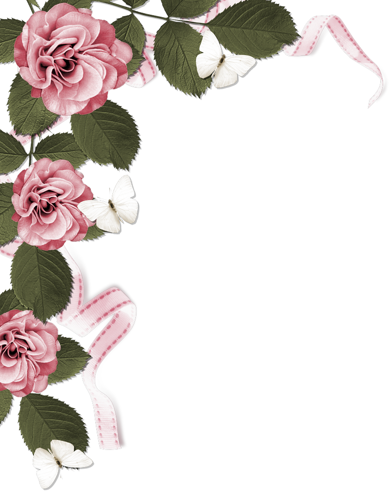 Rose Page Border - Dusty Rose Flower Border Clipart (800x1005), Png Download