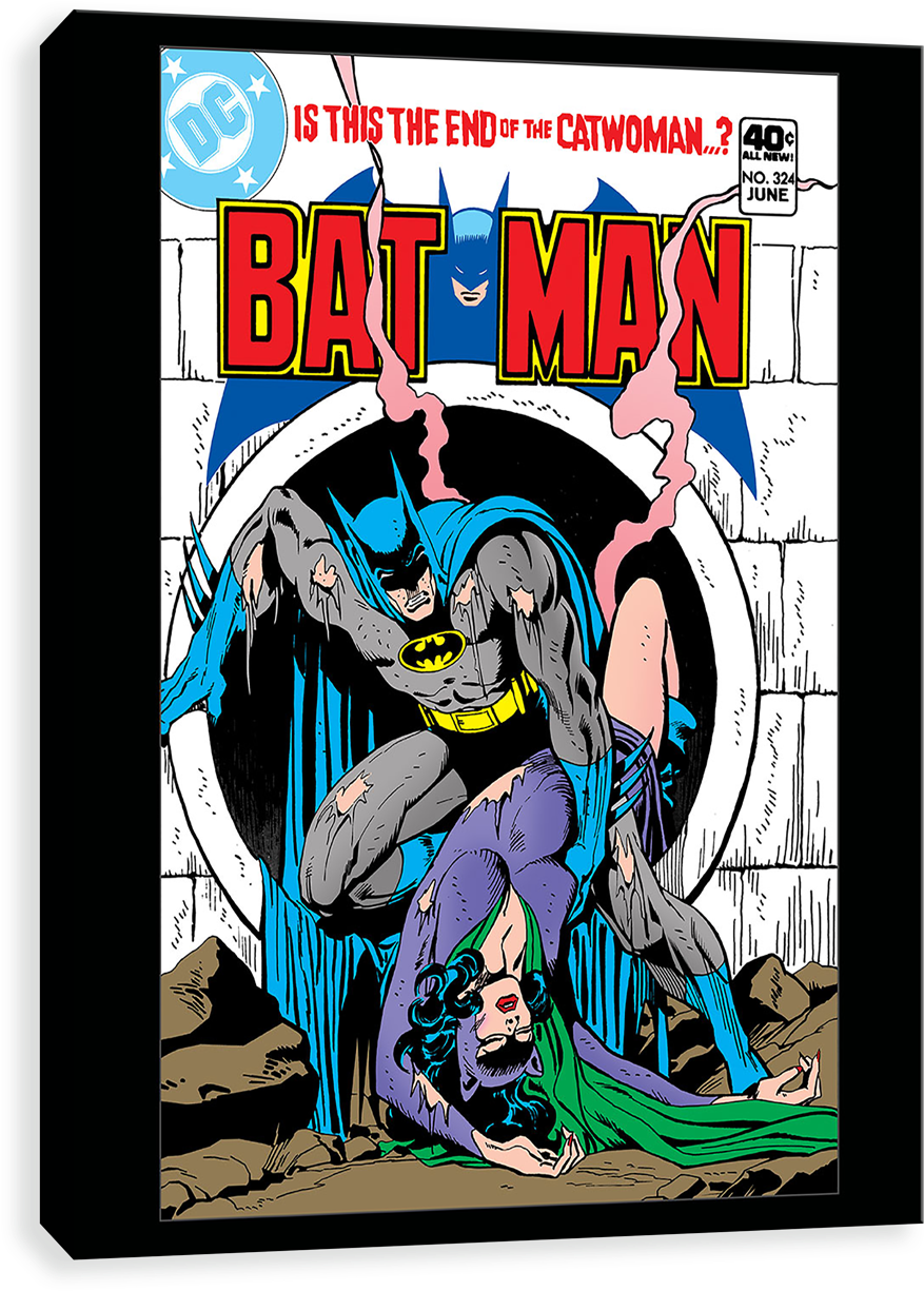 Cover Batman Catwoman Clipart (1280x1280), Png Download