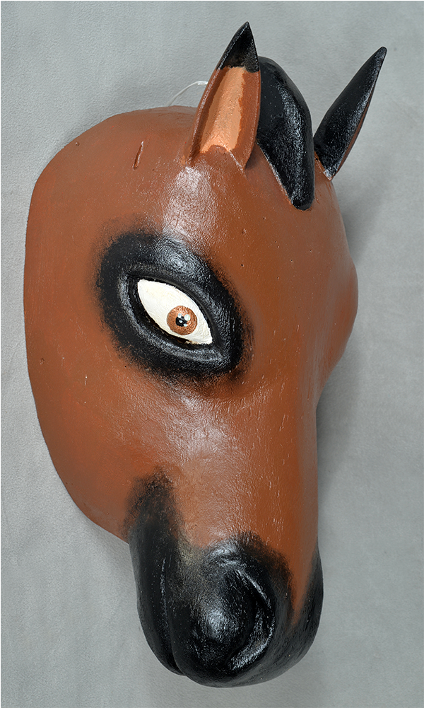 Horse Mask Png Clipart (1000x1000), Png Download
