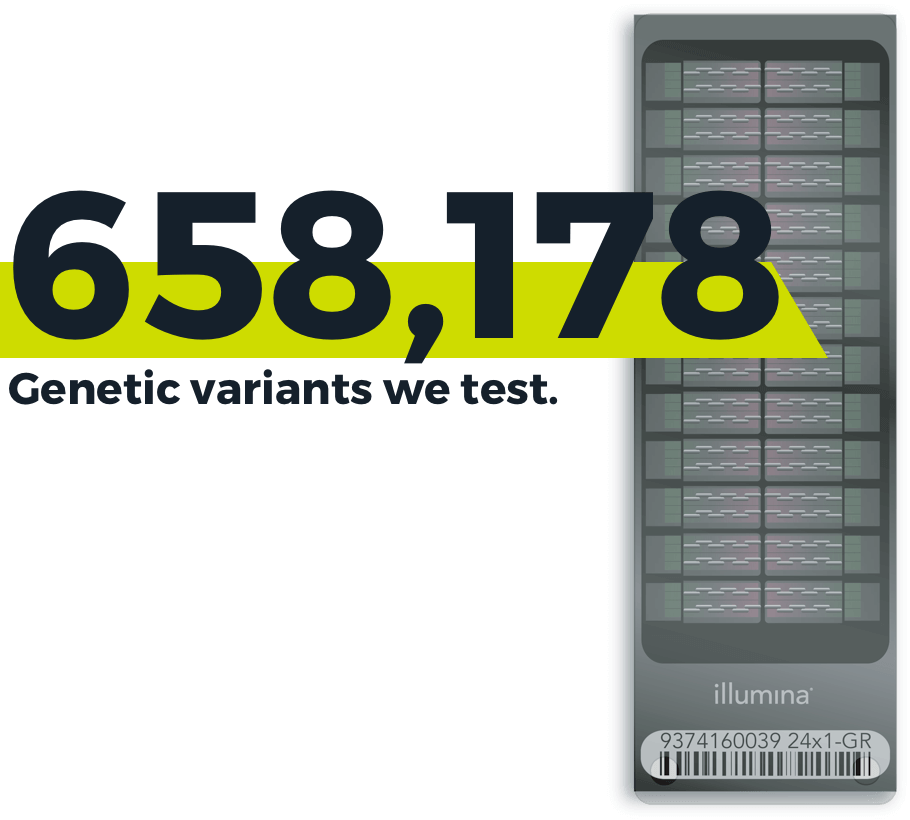 Dna Analysis - Multimedia Software Clipart (910x820), Png Download