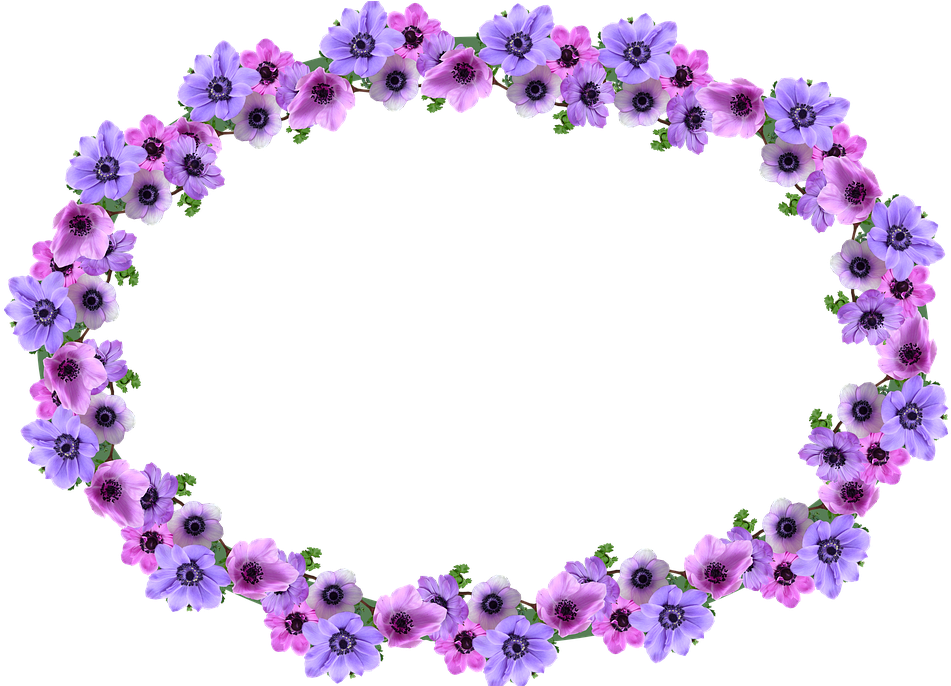 Frame, Border, Anemone, Oval, Decoration - Floral Design Clipart (960x685), Png Download