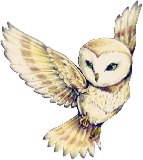 Cute Owl Flying~ - Owl Tattoo Designs Clipart (478x535), Png Download