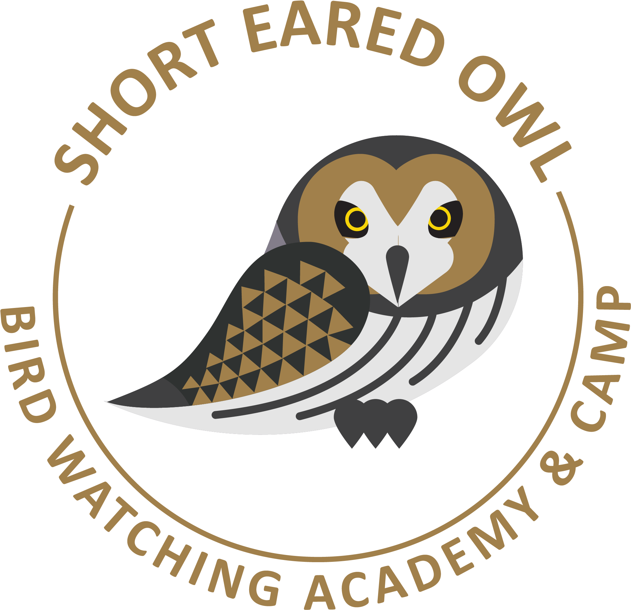 Short-eared Owl - Drbccc Hindu College Pattabiram Logo Clipart (2554x2542), Png Download